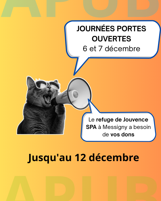 2025 SPA JPO COLLECTE DEC