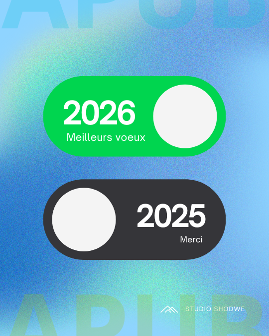 APUB VOEUX 2026